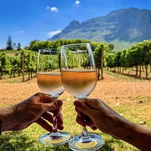 Romantic Honeymoon Wine Tasting