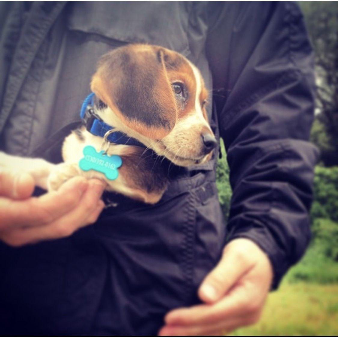 Sammy joined the family!