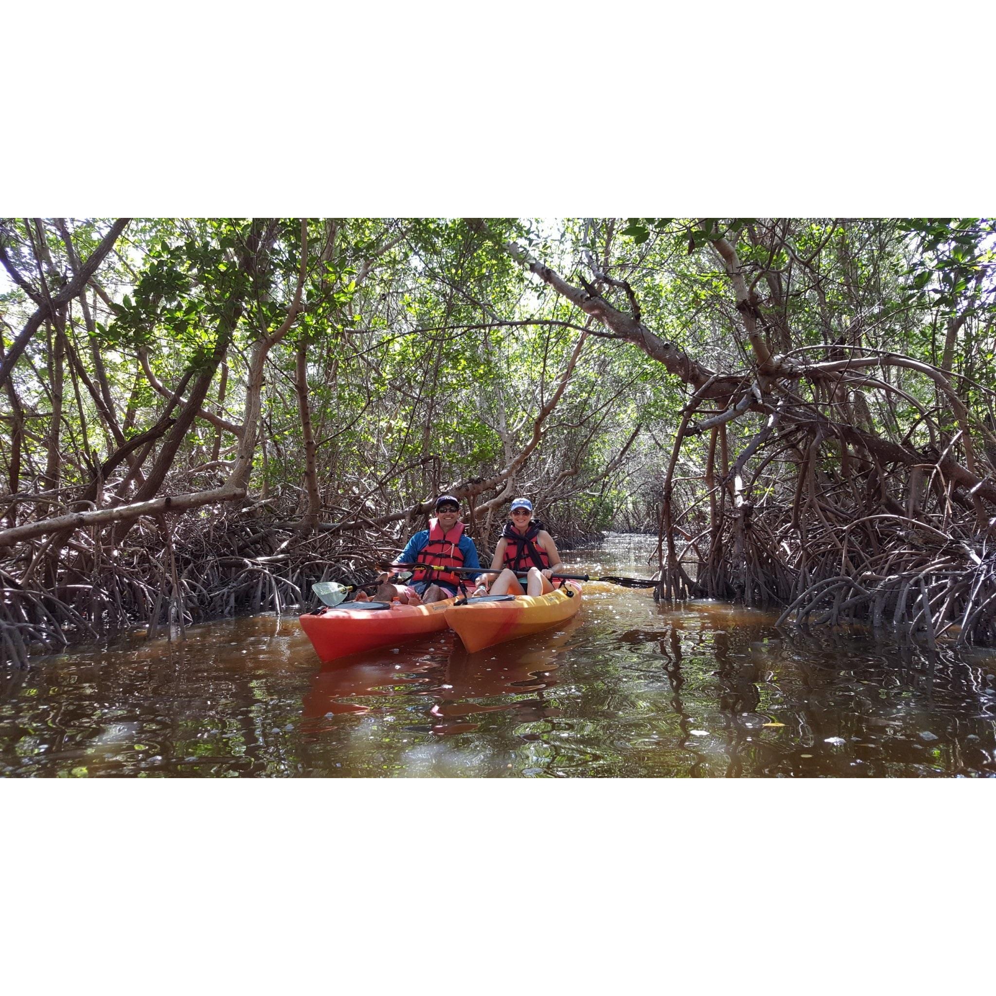 Exploring the mangrove trees on Captiva Island