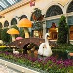 Bellagio Conservatory & Botanical Gardens