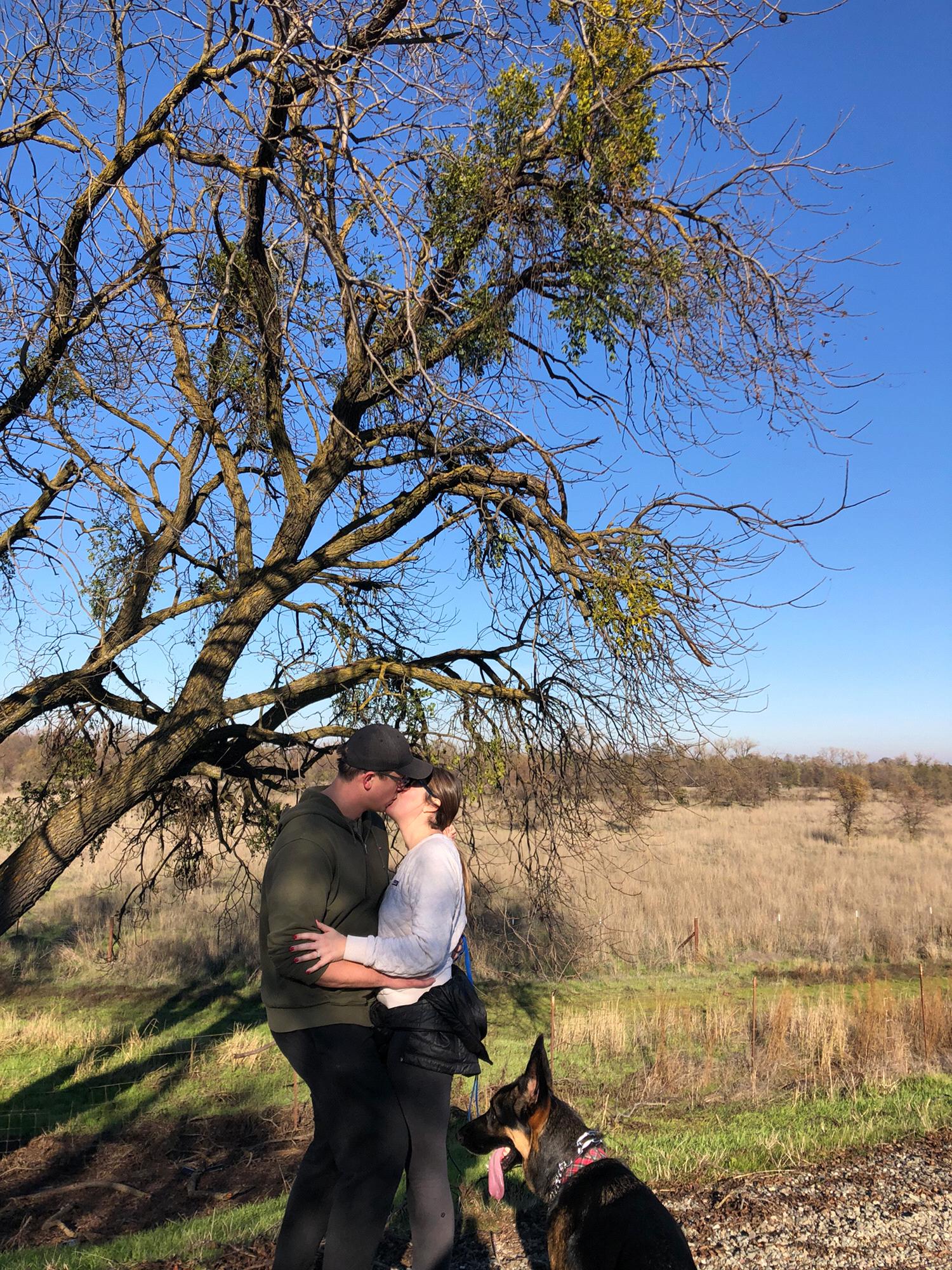 Mistletoe!