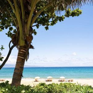 Hawaii Honeymoon Resort