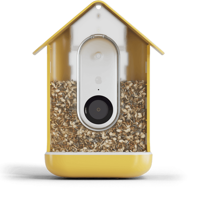 Smart Bird Feeder