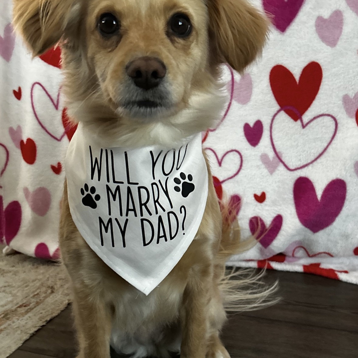 Vince had to incorporate our baby, Piper, into the proposal!