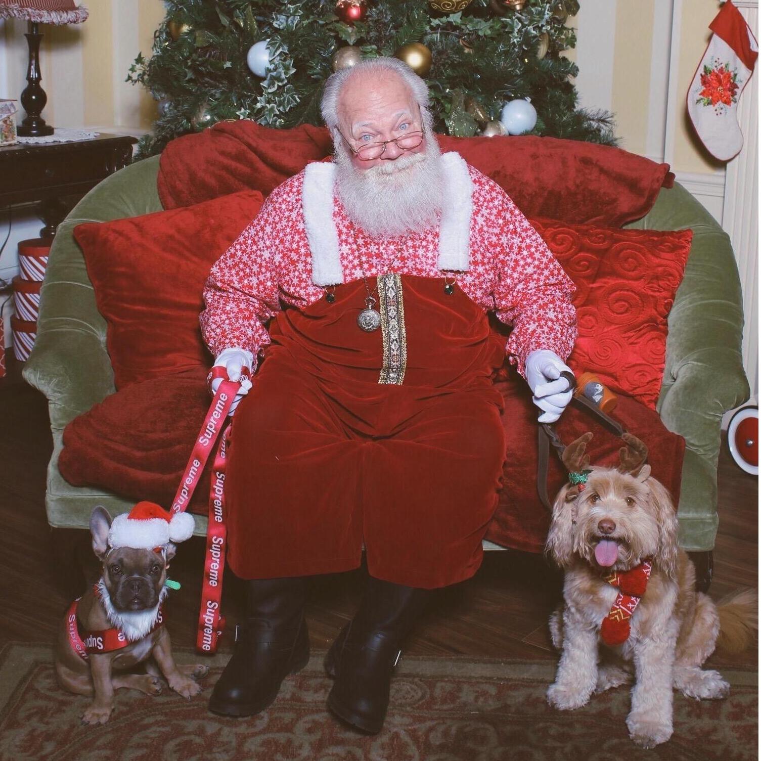 Our fur babies & Santa
