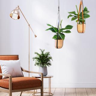 Buckle Up Planter