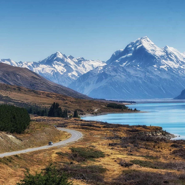 New Zealand Honeymoon!
