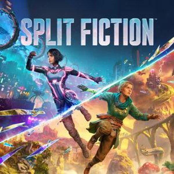 Split Fiction Video Game