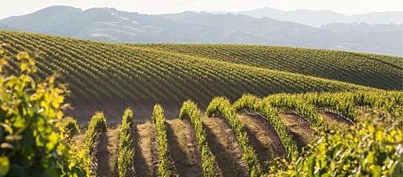 The Wedding Website of Tyler Smith and Megan Downey