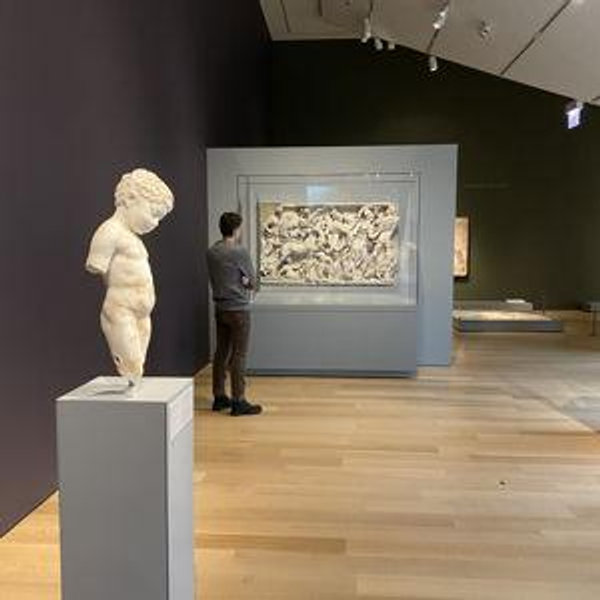 Art Institute of Chicago One-Year Membership