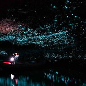 Waitoma Glow worm black water rafting