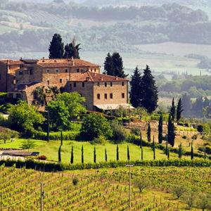 Wine Tasting In Montepulciano