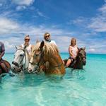 Provo Ponies