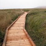 Kortum Trail