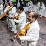 Live Music & Shows (Most Evenings)