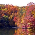 Grundy Lakes at South Cumberland State Park