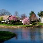 Japan House, University of Illinois at Urbana-Champaign