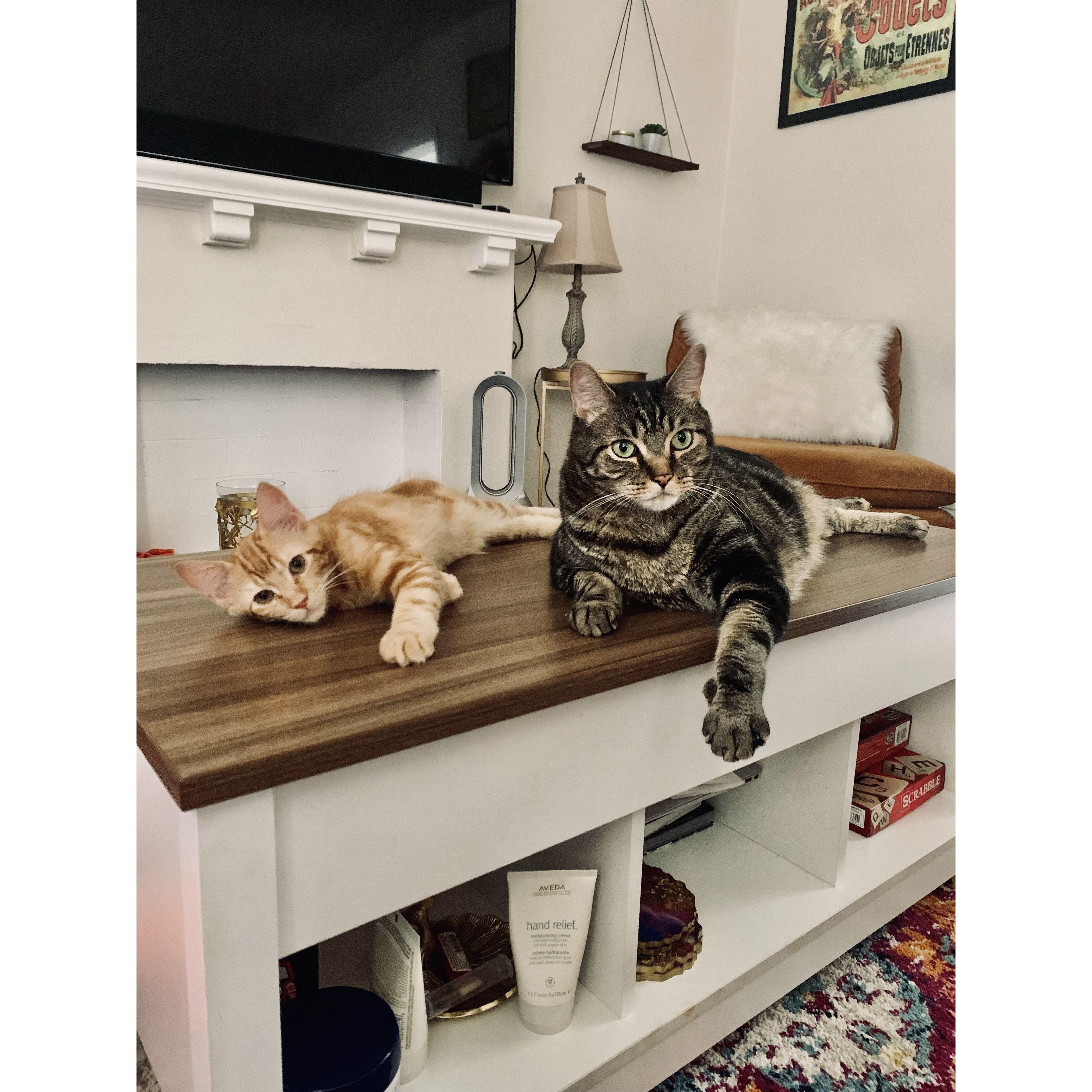 Our little monsters