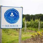 Cayuga Wine Trail