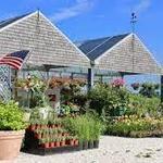 Young Family Farm