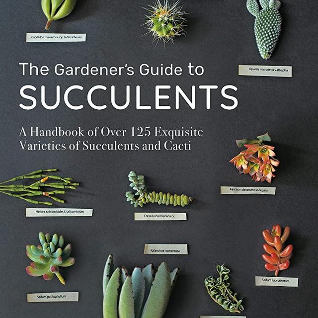 The Gardener's Guide to Succulents: A Handbook of Over 125 Exquisite Varieties of Succulents and Cacti