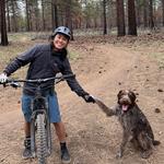 Mountain Biking at Phil's Trailhead