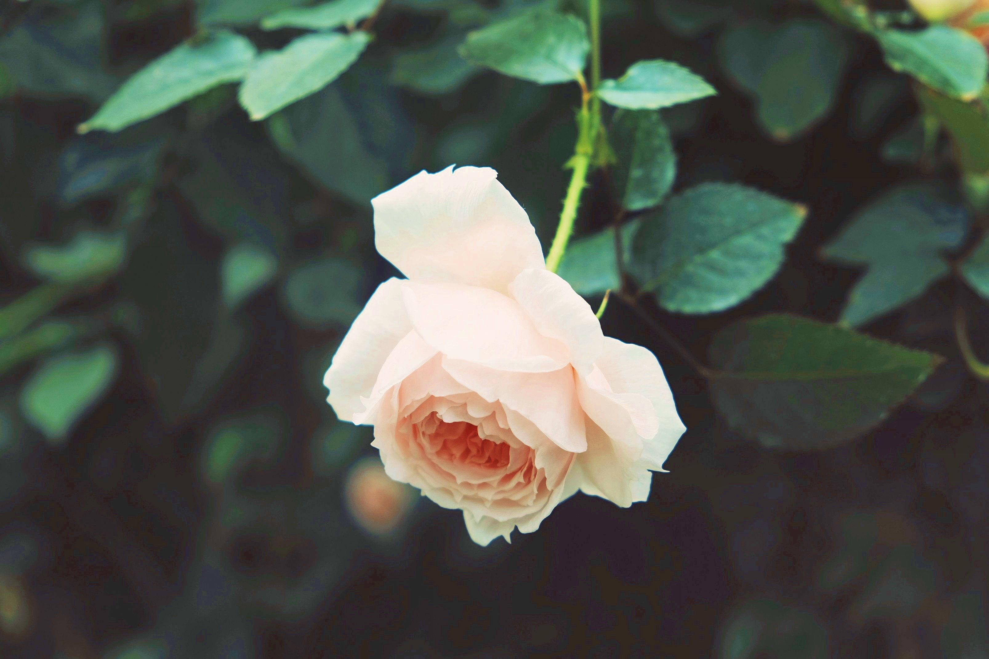 7e401e6c-a143-4302-ba06-e23d1f7d90e5