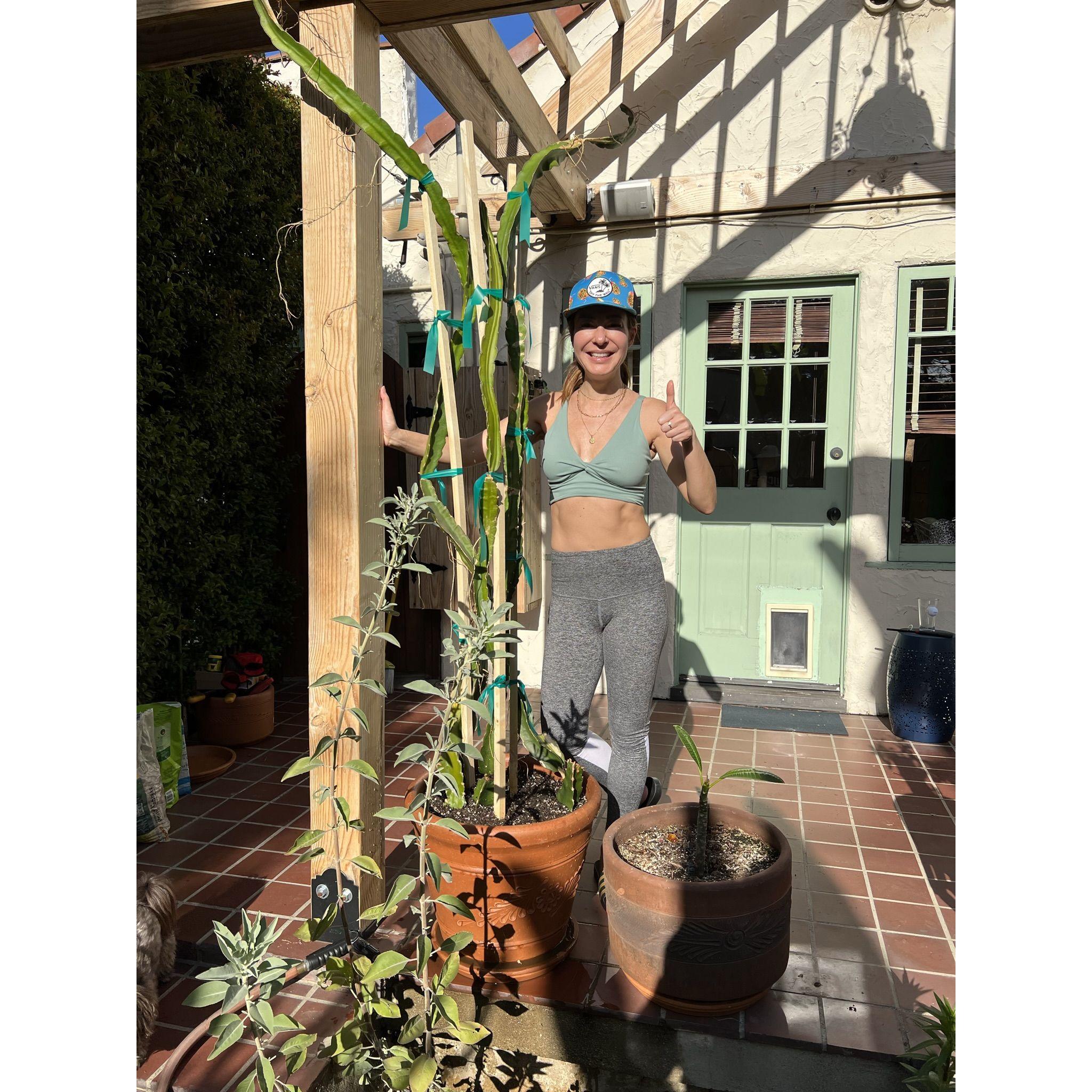 Growing our dragon fruit plant together - a true labor of love.