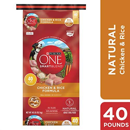 Purina ONE SmartBlend Natural Adult Dry Dog Food