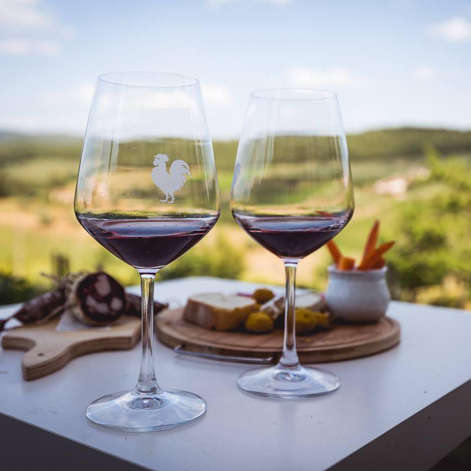 Honeymoon Wine Tasting in Tuscany