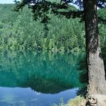 Lake of the Woods
