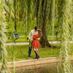 Boston Public Garden