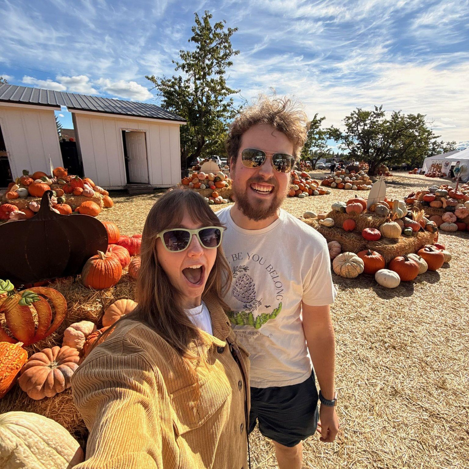 Pumpkins!