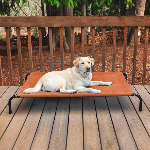 FURHAVEN Elevated Dog & Cat Bed, Terracotta Red, X-Large - Chewy.com