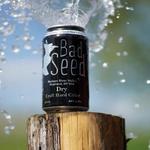 Bad Seed Cider Taproom