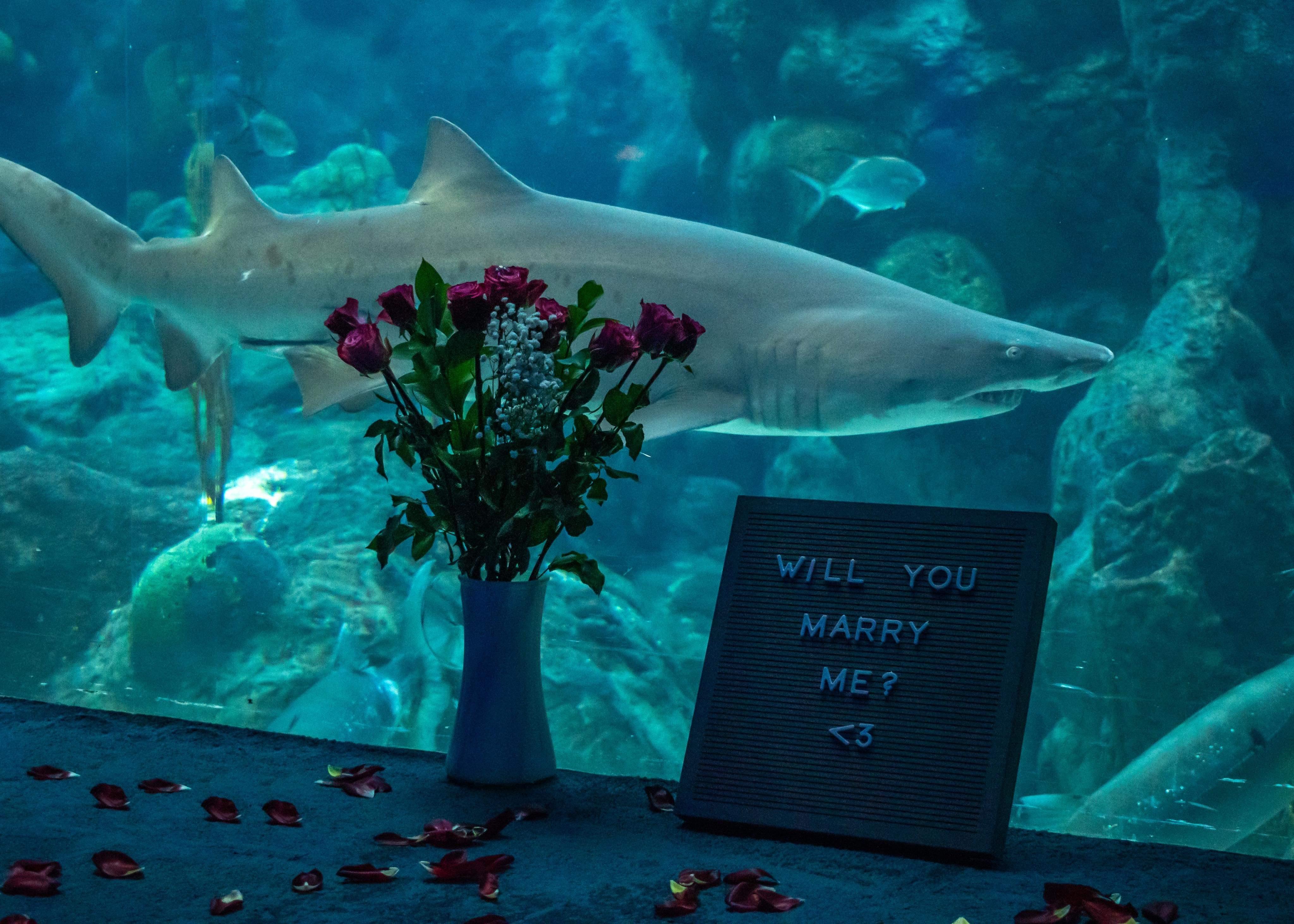 The Wedding Website of Joseph Warren-Kahles and Jennie Sellers