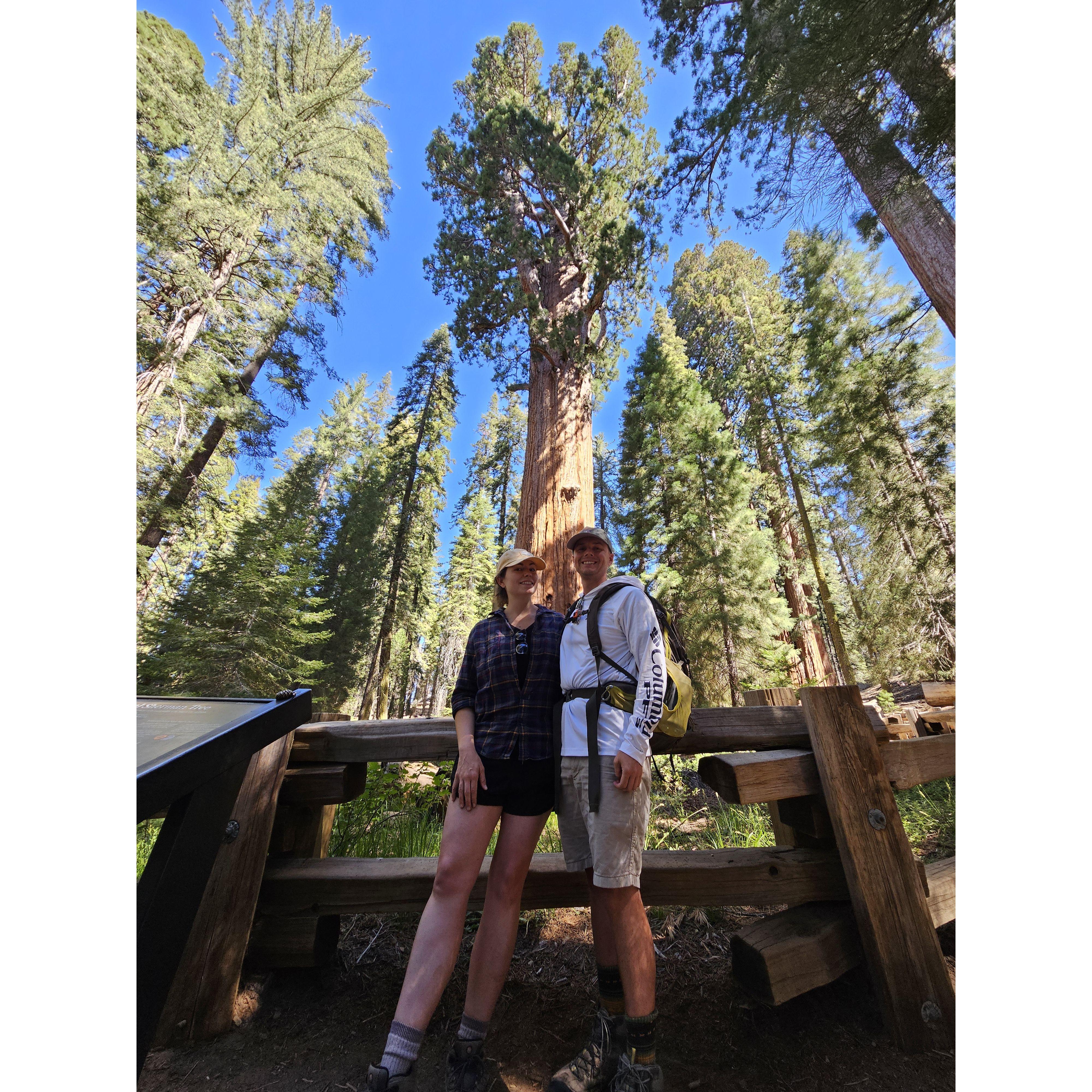 Sequoia National Park, CA
