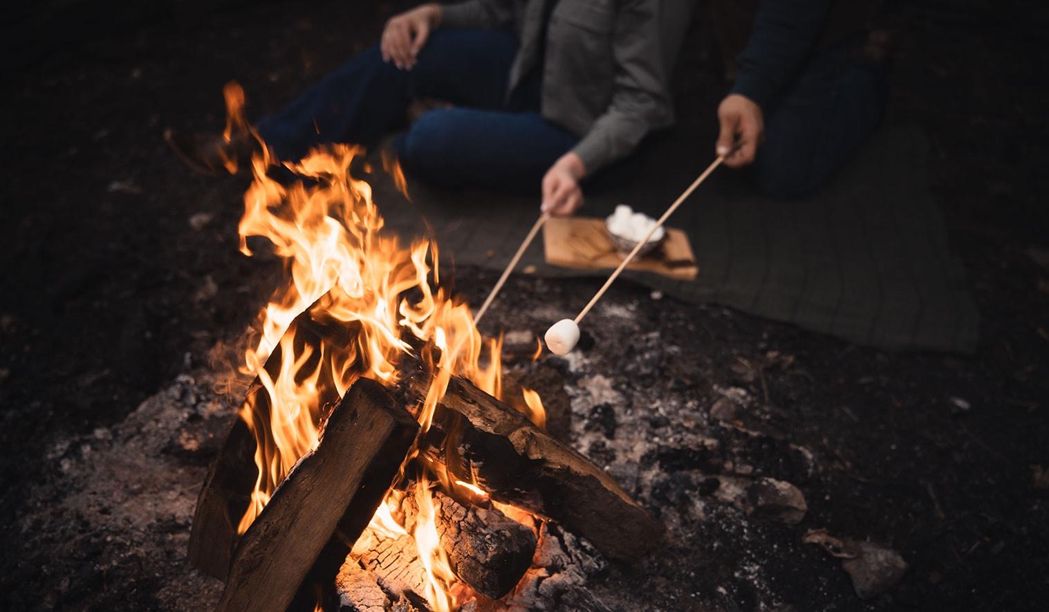 The Wedding Website of Mariah Catherine Dormanen and Franklin Rinne Lesar