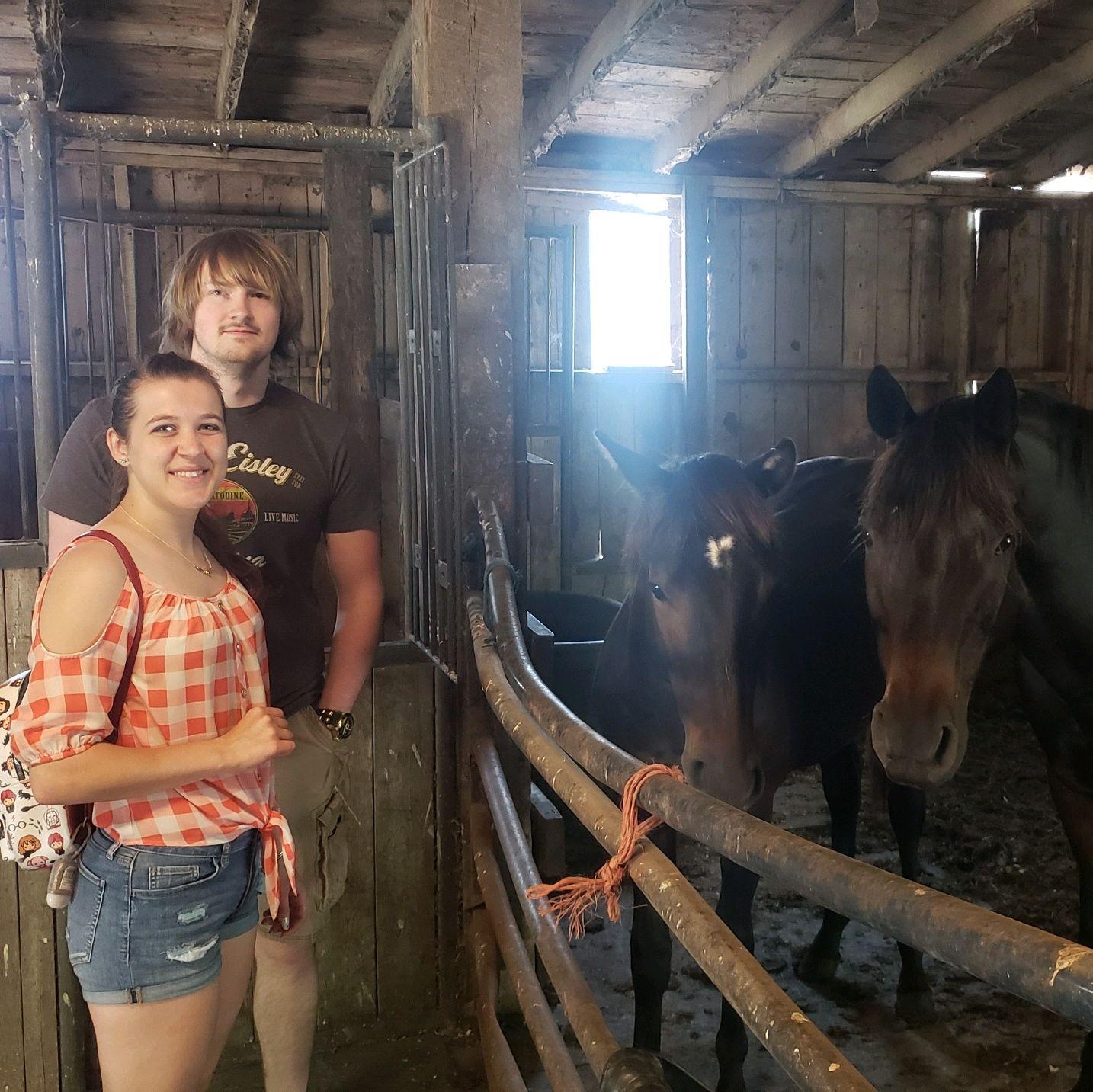 Aunt Lynn's Horses
