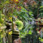Marie Selby Botanical Gardens Downtown Sarasota campus