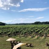 Paumanok Vineyards