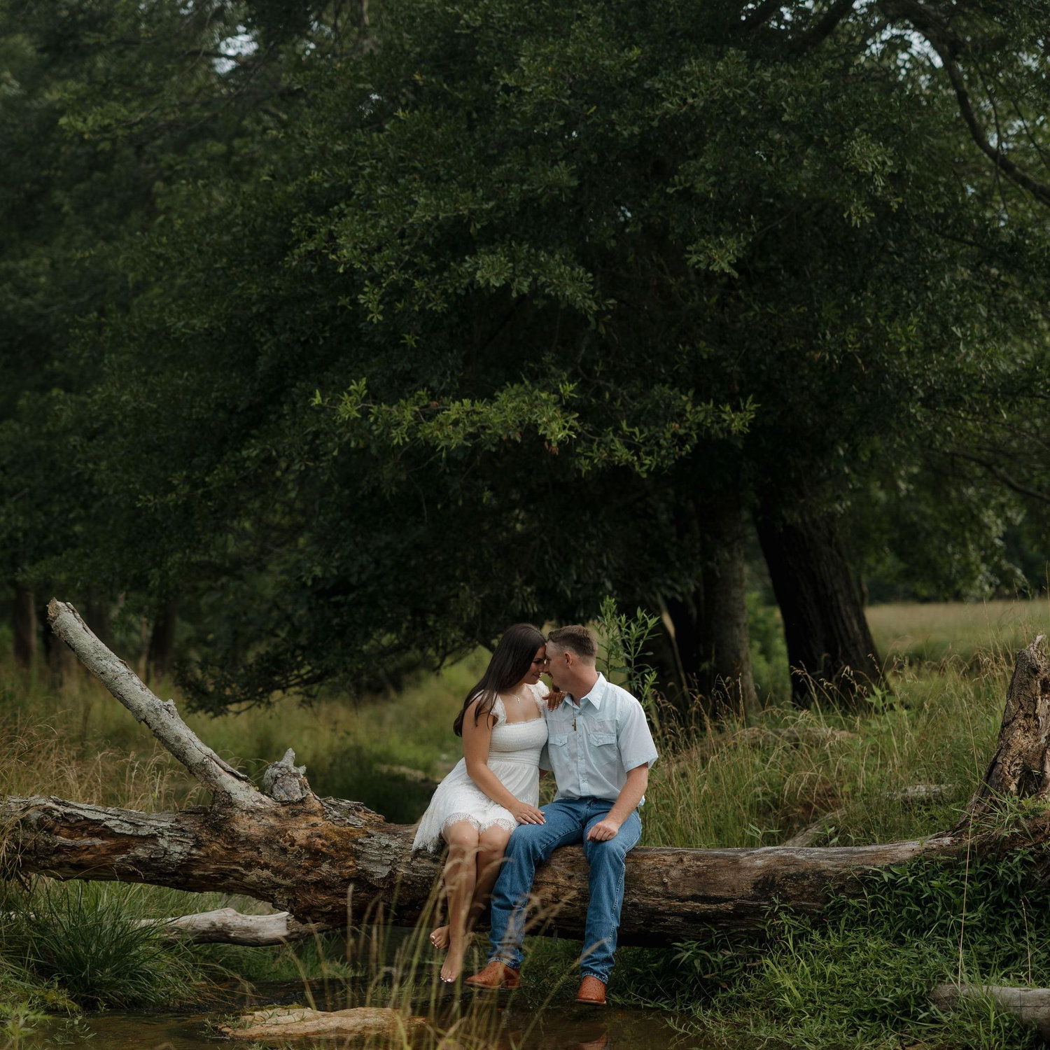 Engagement photos