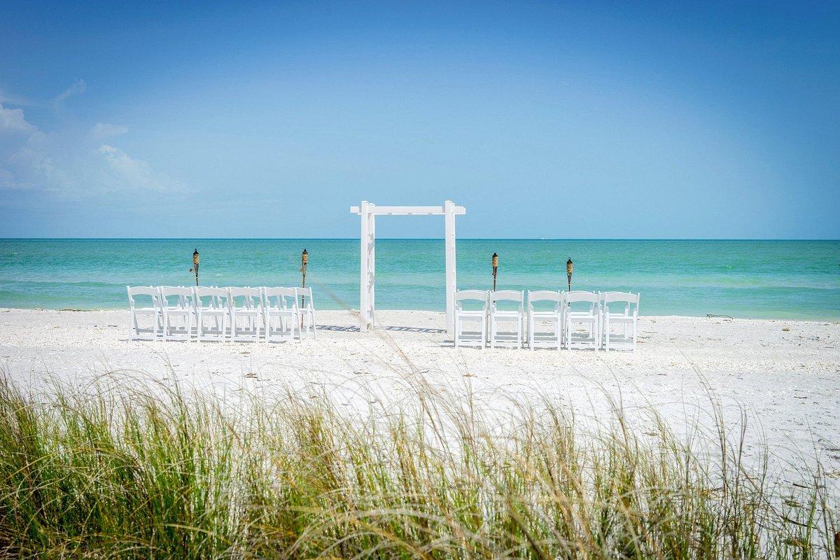 The Wedding Website of Sam Finkel and Matt Teets