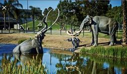 The La Brea Tar Pits and Museum