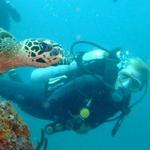 Coiba Island