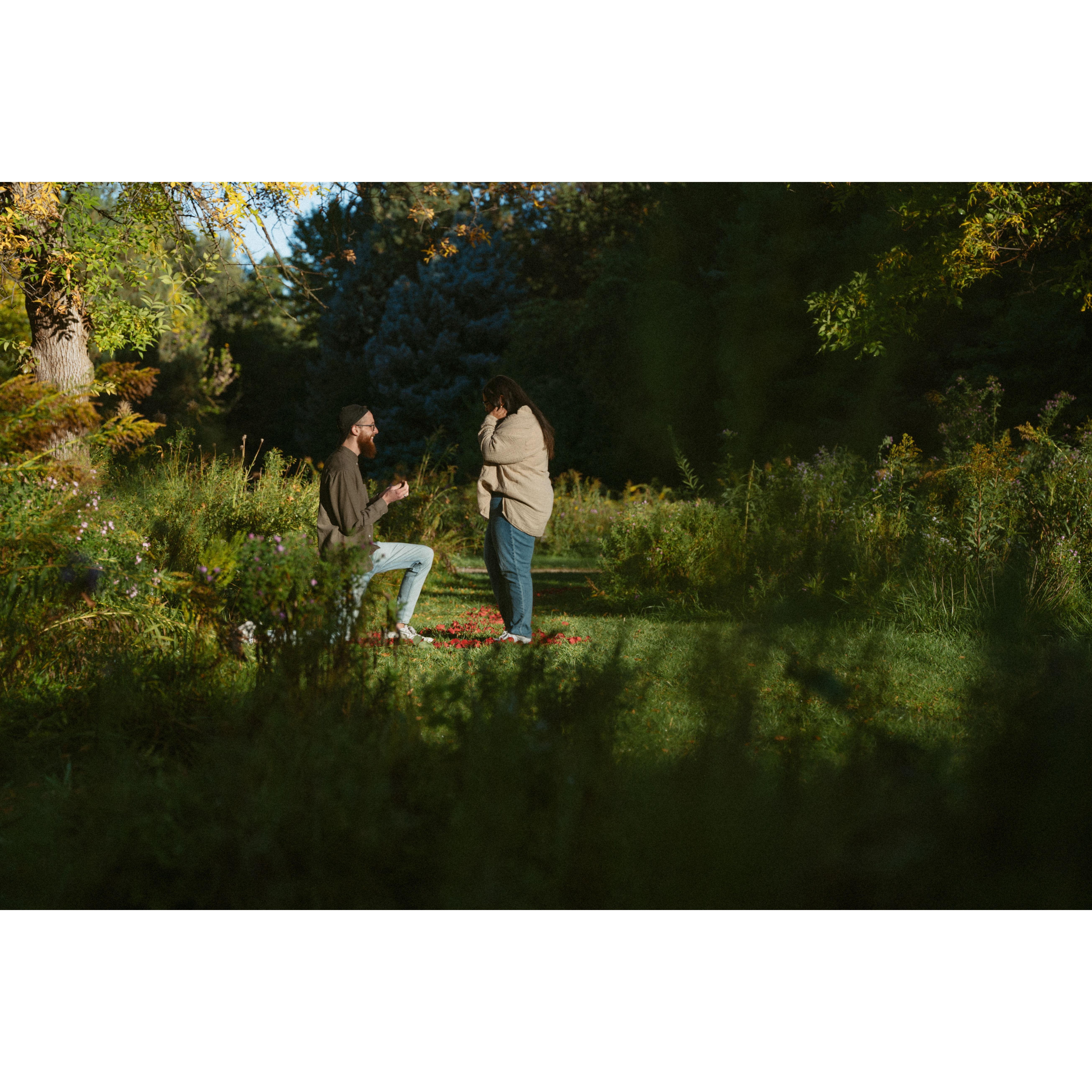 the proposal