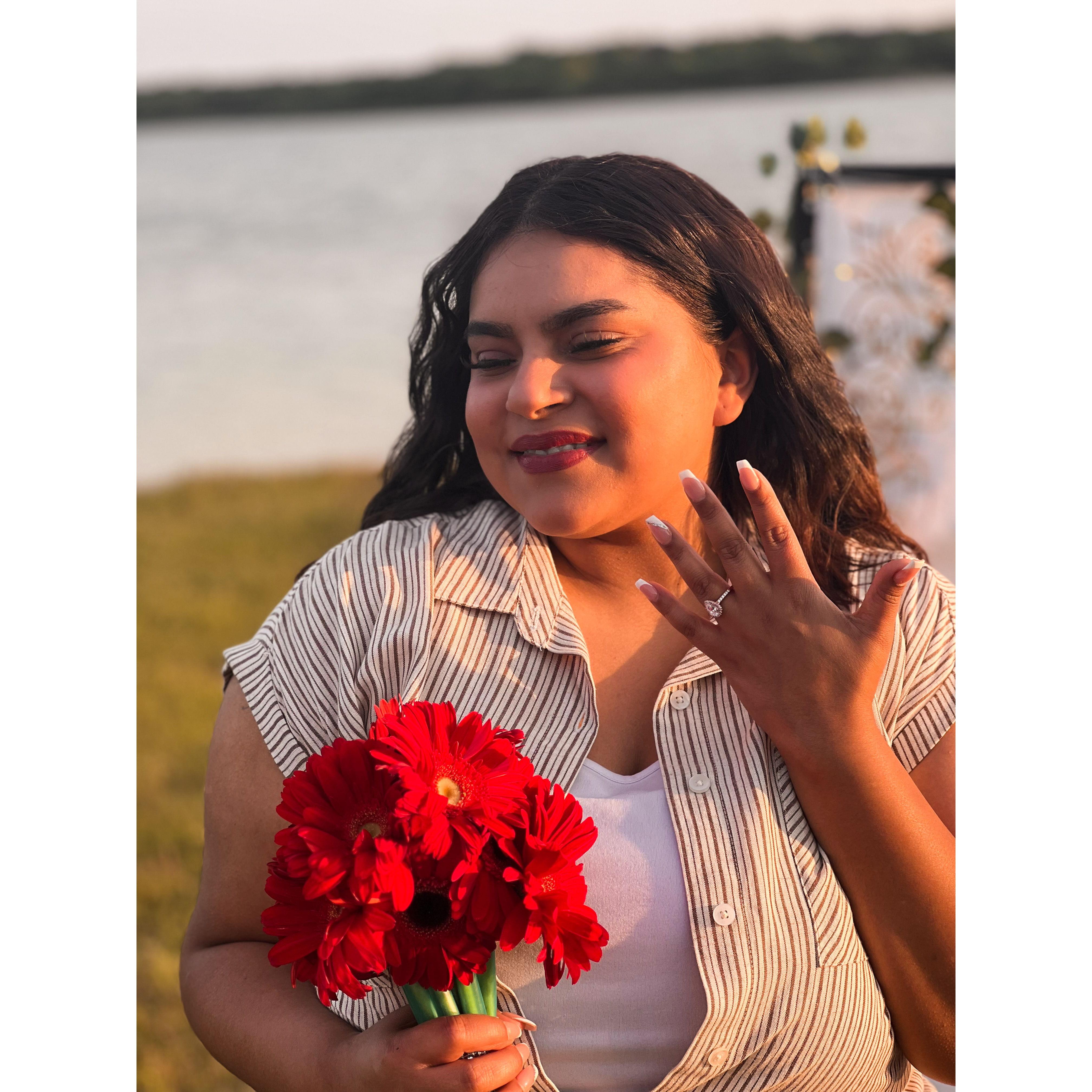 Let's Get Married!