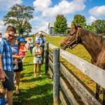 Old Friends Horse Farm