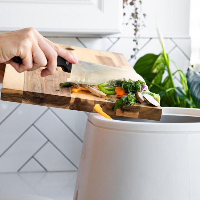 Lomi Composter