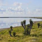 Laguna Atascosa Refuge